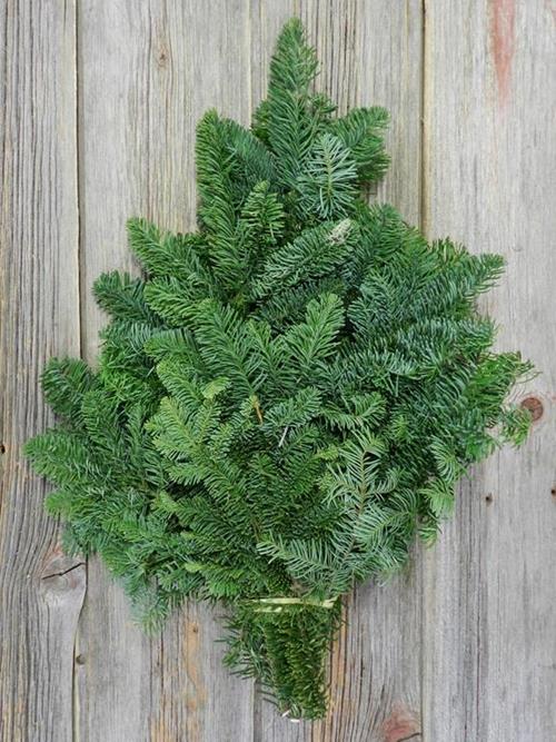 DOUGLAS FIR 25#   CHRISTMAS GREENS